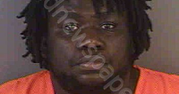 LOUIS,RALPH KERVENS | 2022-08-09 Collier County, Florida Booking