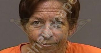 GAFFNY,ANNE | 2022-08-10 16:30:00 Hillsborough County, Florida Booking