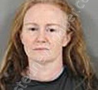 DAVIS, DALEA GAYLE | 2022-08-11 Anderson County, South Carolina Booking