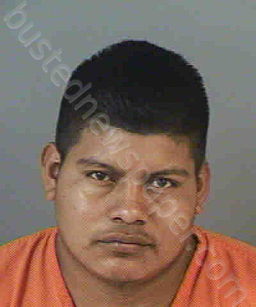 ESCALANTEMORALES,PEDRO LUCAS #, Collier County, Florida - 2022-08-12