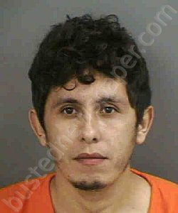 MATUTEGUTIERREZ,JOSE ELEXANDER | 2022-08-12 Collier County, Florida Booking