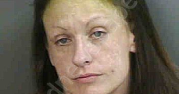 <B>BESSELLIEU</B>,<B>ZANNA</B> MARIE BROCK #, Collier County, Florida - 2022-08-12