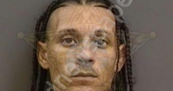 CRUZ,MICHAEL | 2022-08-14 09:31:00 Hillsborough County, Florida Booking