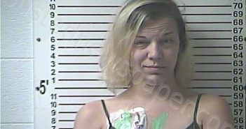 OESWEIN, ALAINA MARIE | 2022-08-15 07:03:00 Hardin County, Kentucky Booking