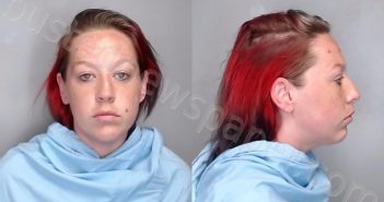 PERSICO, BRENDA KIMBERLY | 2022-08-15 Champaign County, Illinois Booking