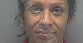 MCKIBBIN SIZEMORE, RANA CHRISTINE | 2022-08-16 17:04:00 Lee County, Florida Booking