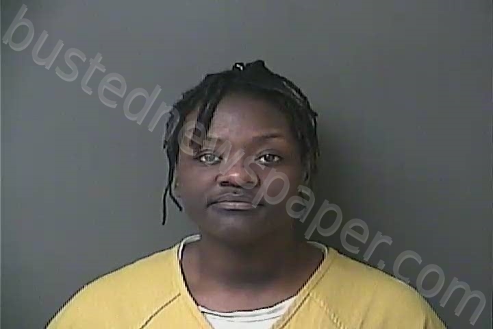 SWYGERT, NICHELLE MEKKOLE #, Howard County, Indiana - 2022-08-16 19:27:00