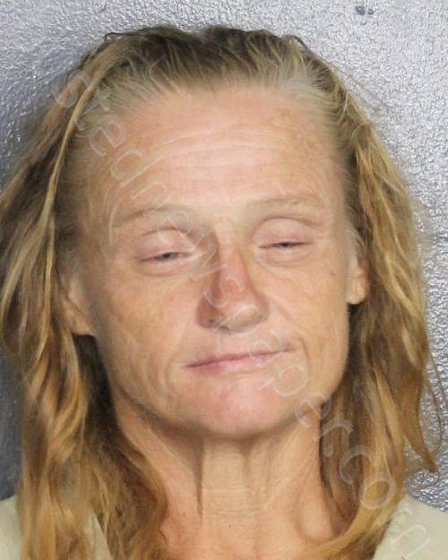 BURTON, LISA ANN #, Broward County, Florida - 2022-08-16