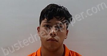BERMUDEZ ROSALES ESTEVAN JESUS | 2022-08-16 Cameron County, Texas Booking