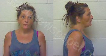JOHNSON REBECCA FAYE | 2022-08-18 14:55:56 Craven County, North Carolina Booking