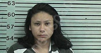 SULLY, ANMPE DUTA WI ISABEL | 2022-08-19 01:27:48 Hood County, Texas Booking