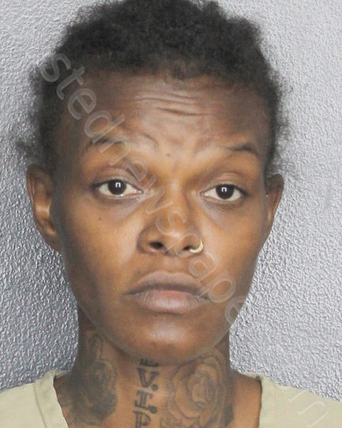 BROWN, STEPHANIE ELYZABETH #, Broward County, Florida - 2022-08-20
