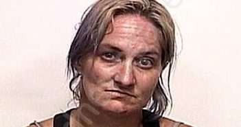 AUSTIN, CHRISTINA MARIE | 2022-08-22 08:21:00 Suwannee County, Florida Booking