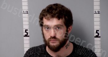 <B>RISLEY</B>, <B>KRISTOPHER</B> <B>MICHAEL</B> #, Gratiot County, Michigan - 2022-08-23 17:02:00