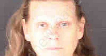 PARHAM, DEETTE MARIE | 2022-08-24 Sarasota County, Florida Booking