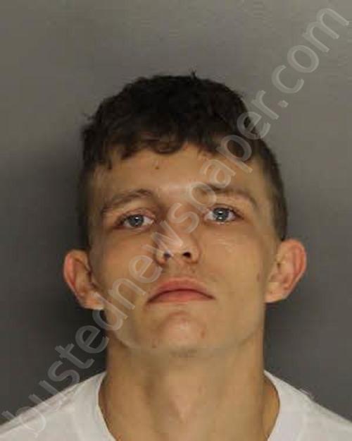 TREADWAY, JOSIE GAGE RYAN #, Berkeley County, South Carolina - 2022-08-25 15:50:00