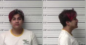 <B>FLORES</B>, <B>CHARLES</B> <B>ALEXANDRO</B> #, Kerr County, Texas - 2022-08-28