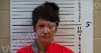 WHITENER, COURTNEY MARLANA | 2022-08-28 14:29:00 Cherokee County, North Carolina Booking
