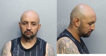 DIAZ, EMERSON | 2022-08-29 20:58:00 Miami-Dade County, Florida Booking