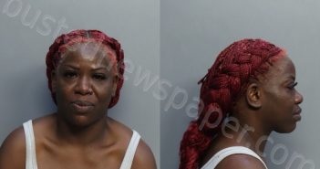 CHARLES, YVA | 2022-08-29 17:21:00 Miami-Dade County, Florida Booking