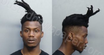 ADAMS, ANDRE LAMONT | 2022-08-29 15:54:00 Miami-Dade County, Florida Booking