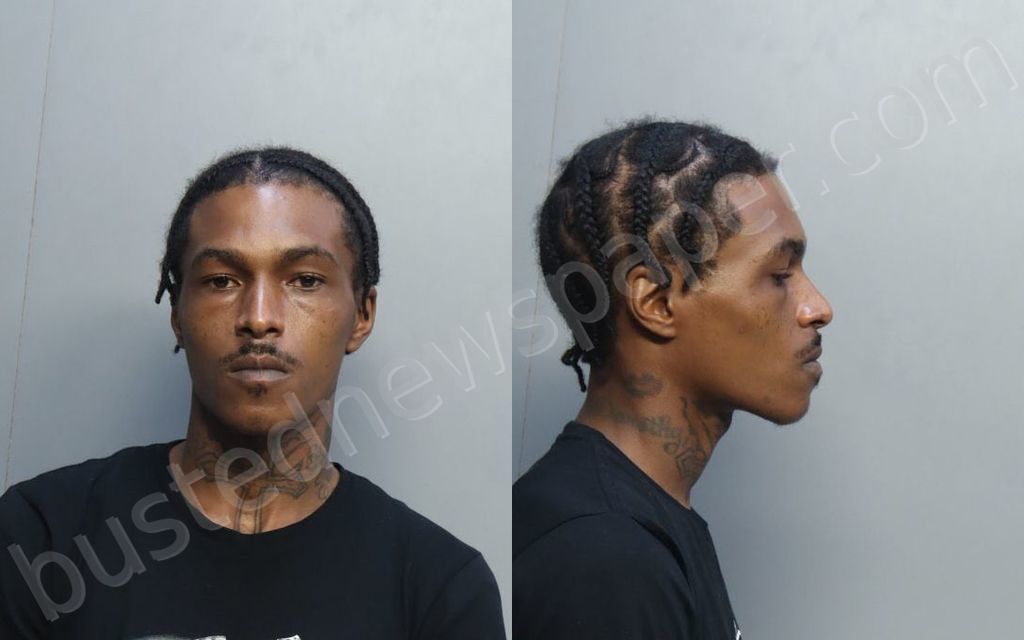 HILL, DARNELL SHEDRIC #, Miami-Dade County, Florida - 2022-08-29 19:03:00
