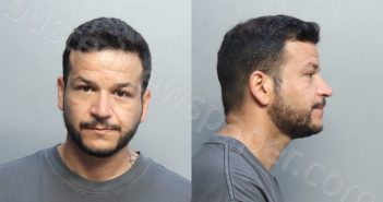 MYSTRIOTIS, THEODOROS | 2022-08-29 13:34:00 Miami-Dade County, Florida Booking