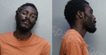 GREEN, NATHANIEL ATOINE | 2022-08-29 15:46:00 Miami-Dade County, Florida Booking