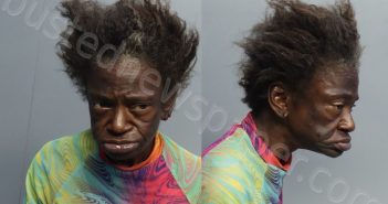 ALLEN, KAREN | 2022-08-29 14:13:00 Miami-Dade County, Florida Booking