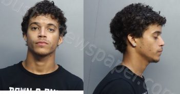 DIAZDANGER, ALEJANDRO | 2022-08-29 16:23:00 Miami-Dade County, Florida Booking