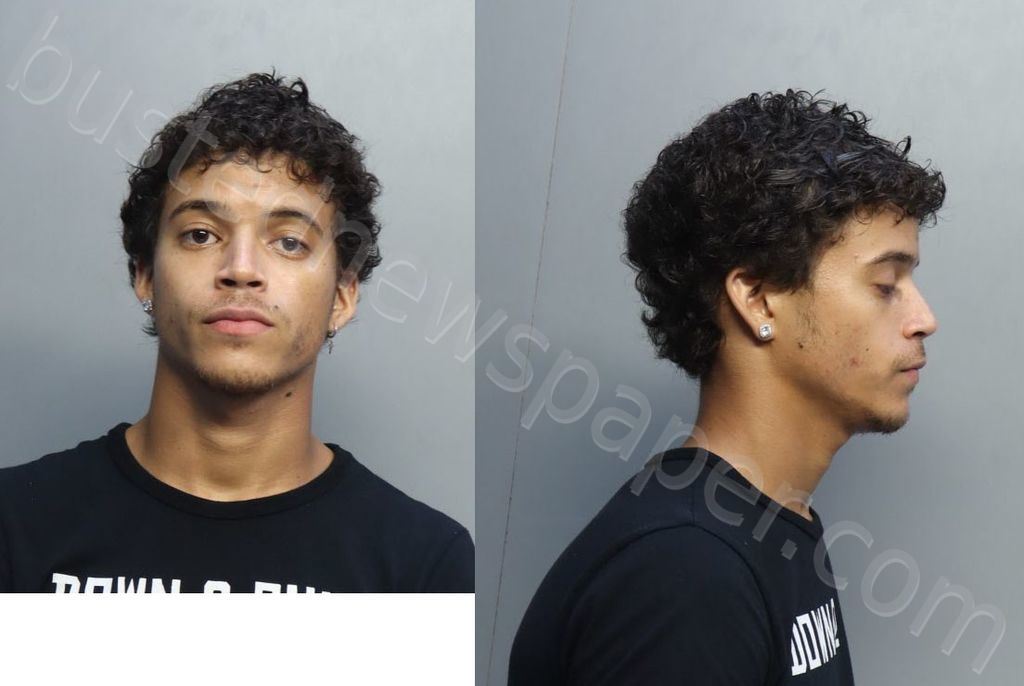 DIAZDANGER, ALEJANDRO #, Miami-Dade County, Florida - 2022-08-29 16:23:00