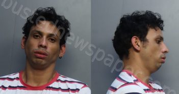 CASTELLON, SAMIR ALEXANDER | 2022-08-29 18:21:00 Miami-Dade County, Florida Booking