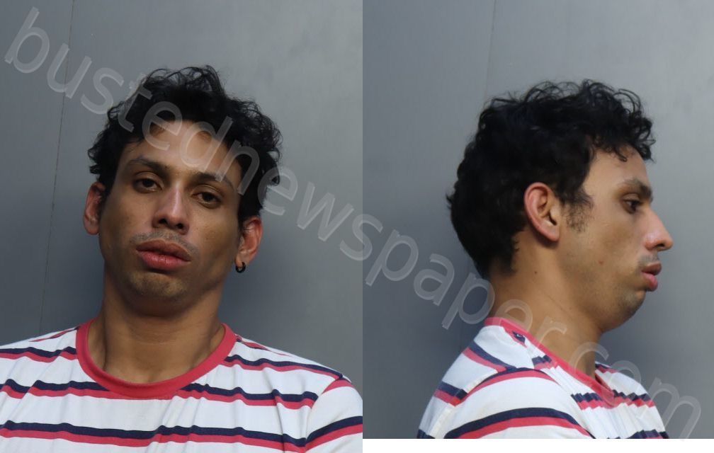 CASTELLON, SAMIR ALEXANDER #, Miami-Dade County, Florida - 2022-08-29 18:21:00