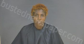 BAILEY, SHERREE LAVERNE | 2022-09-02 14:42:00 Halifax County, Virginia Booking