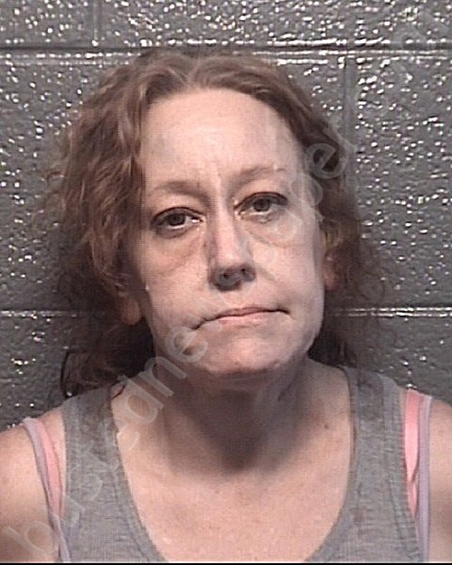DIX, AMY GAYLE #, Danville PD, Virginia - 2022-09-02