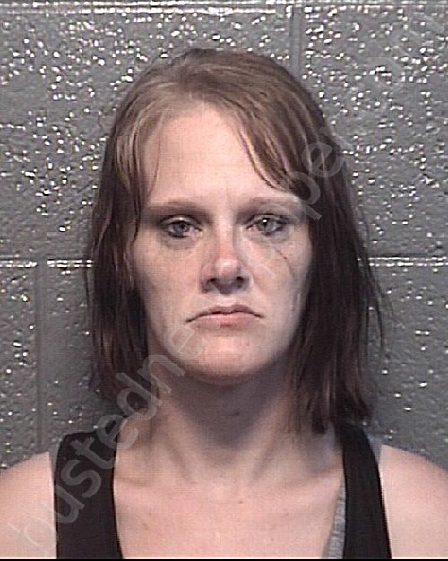 IPOCK, JESSICA DAWN #, Danville PD, Virginia - 2022-09-02