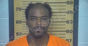 RICHARDSON, CLEVON J | 2022-09-08 00:01:00 Ottawa County, Ohio Booking
