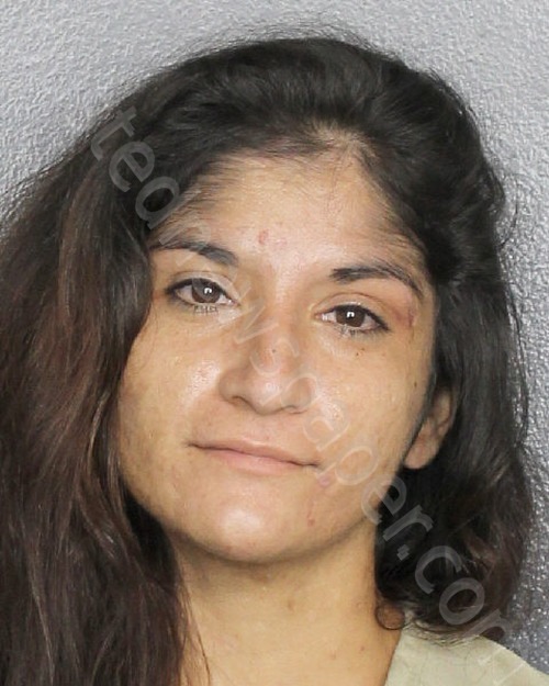 DOCTOR, JENNIFER LYNN #, Broward County, Florida - 2022-09-11