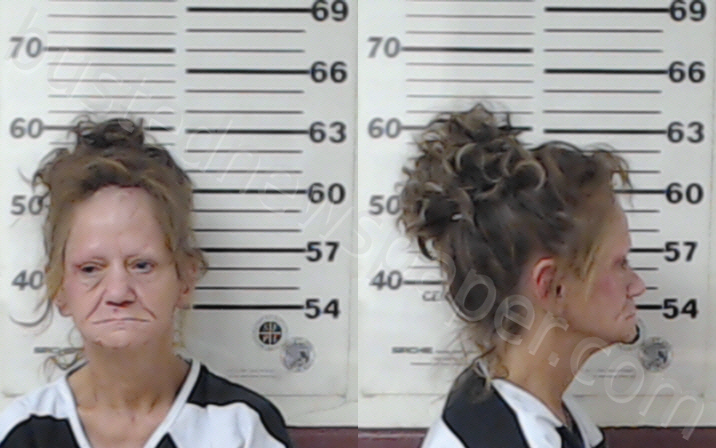 ESPINOZA, TERESA ANN #, Henderson County, Texas - 2022-09-12