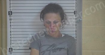 NALLEY, STACY | 2022-09-13 17:13:00 Taylor County, Kentucky Booking