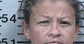 REYES, JUANITA BEATRICE | 2022-09-13 20:35:57 Hood County, Texas Booking