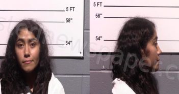 <B>OLVERA</B>, <B>YESENIA</B> #, Gillespie County, Texas - 2022-09-16