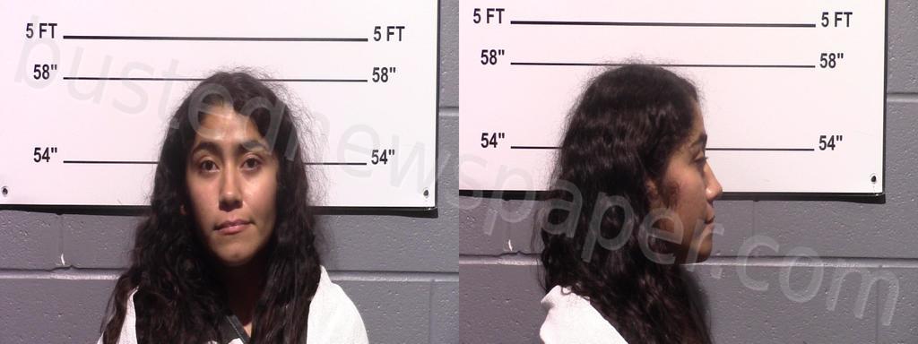 OLVERA, YESENIA #, Gillespie County, Texas - 2022-09-16