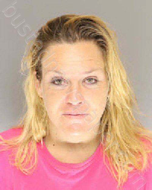 HAHN, CYNTHIA MICHELLE #, Moore County, North Carolina - 2022-09-21 19:17:00