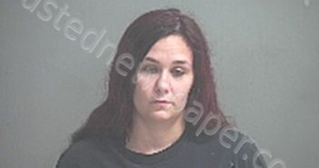 TAYLOR, SHANTEL MARIE | 2022-09-22 Sandusky County, Ohio Booking