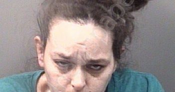 SMITH, SHAINA ELIZABETH SATT | 2022-09-27 15:52:00 Rowan County, North Carolina Booking