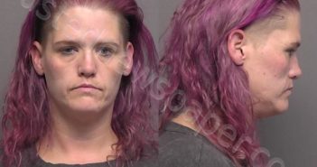WILSON,KELLI NOREEN | 2022-09-28 23:59:09 Saline County, Kansas Booking