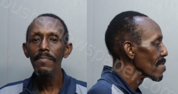 RICHARDSON, ERIC TROY | 2022-09-29 11:58:00 Miami-Dade County, Florida Booking