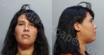 FALCON, BRIANA | 2022-09-29 14:49:00 Miami-Dade County, Florida Booking