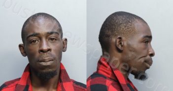 AMMONS, TERRELL | 2022-09-30 03:34:00 Miami-Dade County, Florida Booking